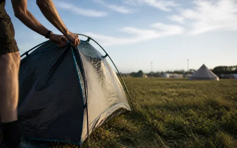 Qu'est-ce que le tourisme éducatif ? Définition